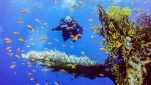 ماذا نعرف عن مدينة شرم الشيخ؟ 3