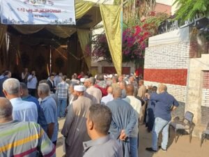 إقبال كثيف للناخبين بمحافظات المرحلة الأولى لانتخابات مجلس النواب 2025 4