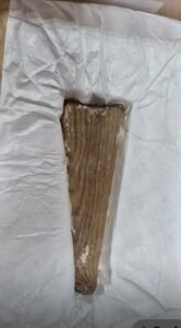 أجهزة الدولة تنجح في استعادة تمثال وتابوت خشبيين من بلجيكا 3