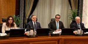 رئيس الوزراء: تنفيذ حاسم لتوجيهات الرئيس لدعم الإقتصاد والخدمات 3