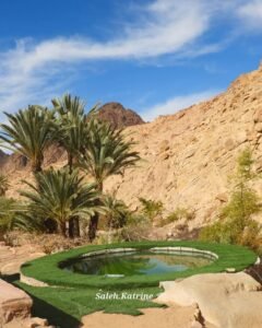 مدينة سانت كاترين الطبيعة الخلابة و التنوع البيئي والجمال الفريد 2