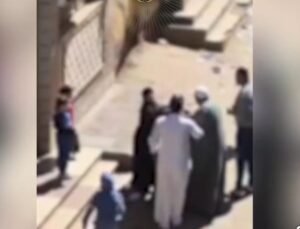 خلافات الميراث تتحول لعنف.. كشف ملابسات التعدي على سيدة بدسوق 2