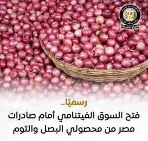 وزارة الزراعة واستصلاح الأراضي..فتح السوق الفيتنامي رسميًا أمام صادراتها من محصولي البصل والثوم الطازج 2