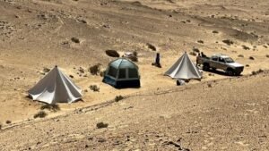 اكتشاف تاريخي في مصر.. أول دليل على أسلاف القردة العليا بشمال أفريقيا 2