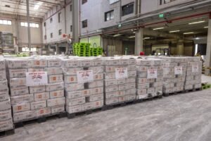 مصر ترسل 1000 طن مساعدات عاجلة إلى لبنان لتخفيف معاناة مليون نازح 2