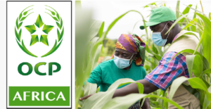 OCP Africa نيجيريا: مبادرة ذكاء اصطناعي لتعزيز الأمن الغذائي بـ15 ولاية 2 OCP Africa تطلق منصة ذكاء اصطناعي لمراقبة الإنتاج الزراعي في نيجيريا