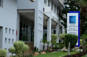 دليل الهيئة العليا للاتصال السمعي البصري يوضح قواعد التعددية الإعلامية