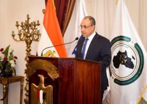 مصر تعزز ريادتها الأفريقية.. توقيع مذكرة تفاهم لدعم التعاون القضائي بالقارة 4