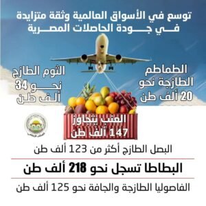 إنجاز جديد للزراعة المصرية.. الصادرات الزراعية تتجاوز 5.8 مليون طن والموالح تتصدر الأسواق العالمية 2