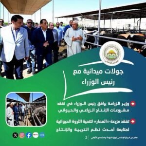 تحركات غير مسبوقة لوزارة الزراعة في أسبوع.. قفزة بالصادرات إلى 5.8 مليون طن ودعم شامل للمزارعين 2