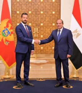 في زيارة تاريخية للقاهرة.. السيسي وميلاتوفيتش يبحثان الإقتصاد والإستثمار وأزمات المنطقة 2
