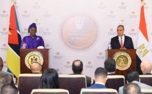 وزير الخارجية ونظيرته الموزمبيقية يبحثان تعزيز الشراكة والتنسيق حول قضايا أفريقيا 3