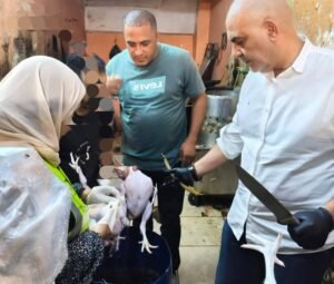 حقن الدواجن بالمياه ولحوم فاسدة.. تفاصيل حملة رقابية كبرى بشبرا الخيمة 2