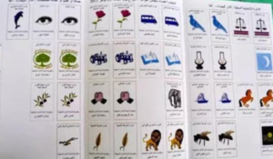 تدقيق حسابات الأحزاب يخضع لضوابط مالية صارمة جديدة 2 خبراء محاسبون يراجعون وثائق مالية ضمن قواعد تدقيق حسابات الأحزاب الجديدة