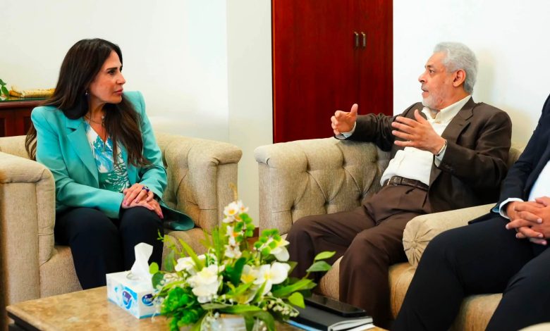 استثمارات إماراتية جديدة تقترب من مرافق مصر.. «إميا باور» تبحث مع وزيرة الإسكان مشروعات الطاقة الشمسية وتحلية مياه البحر 1