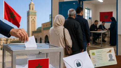 وكالة التصويت الإلكترونية