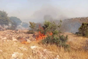 حريق غابوي تحت السيطرة بين أورير وتاغازوت في سوس ماسة