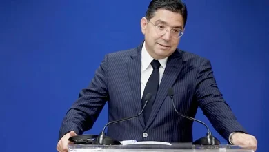 المهاجرين غير النظاميين
