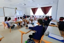 الأستاذ المرجعي