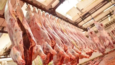 تعليق أوروبا لحوم البرازيل