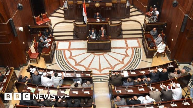 مكاسب أعضاء مجلس الشيوخ المصري: حصانة من المساءلة وامتيازات عينية 1