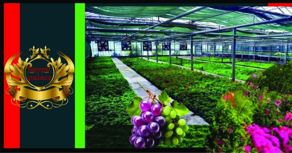 شركة قصر ناريمار لأعمال اللاندسكيب والزراعة 8