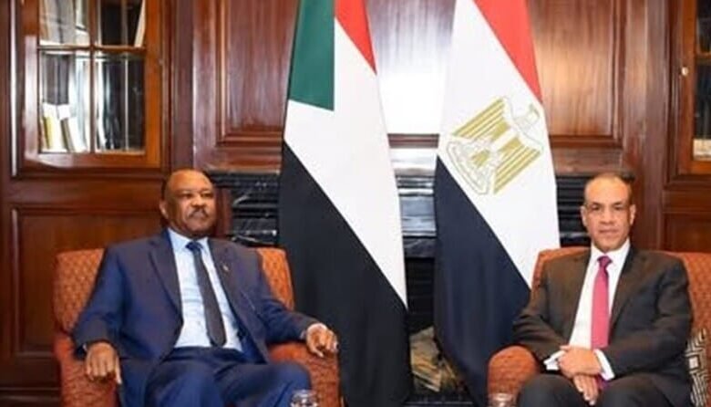 بدر عبدالعاطي يؤكد على تمسك بلاده بدعم السودان 1