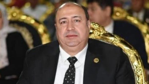 عضو بالشيوخ: توجيهات الرئيس بشأن انتخابات النواب تؤكد أن إرادة المصريين ستكون المعبرة عن البرلمان المقبل