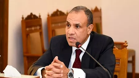 الخارجية المصرية تجدد رفضها لتهجير الفلسطينيين وتتلقى عروضًا بشأن القضية 1