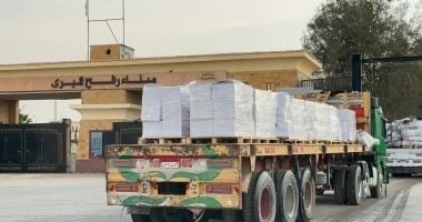 الهلال الأحمر المصري يدفع بـ7 آلاف طن مساعدات غذائية إلى غزة ضمن قافلة زاد العزة الـ124 1