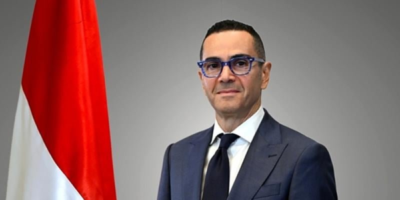 وزير الاستثمار: مصر تمتلك إمكانات هائلة في الطاقة المتجددة 1