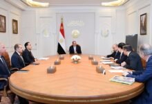 خلال لقائه الرئيس السيسي.. رئيس شركة صينية يشيد بإجراءات مصر في تشجيع وجذب الاستثمارات الأجنبية 16