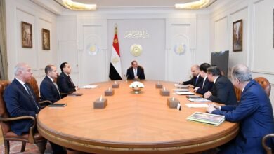 خلال لقائه الرئيس السيسي.. رئيس شركة صينية يشيد بإجراءات مصر في تشجيع وجذب الاستثمارات الأجنبية 3