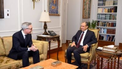 وزير الخارجية المصري يلتقي الرئيس التنفيذي لشركة سكاتك النرويجية 8