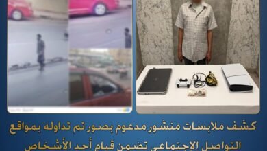 الأمن يكشف هوية لص تحطيم السيارات بالقاهرة ويضبط المسروقات 13