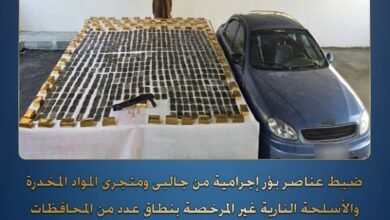 660 كيلو مخدرات و58 سلاحاً نارياً.. الداخلية تسقط بؤرا إجرامية شديدة الخطورة 5