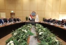 529 أتوبيساً جديداً و150 رأس جرار.. تطوير شامل للنقل البحري والبري 8