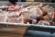 770 كجم دواجن غير صالحة قبل وصولها للمستهلك.. حصاد حملة تموينية موسعة بالقليوبية 17