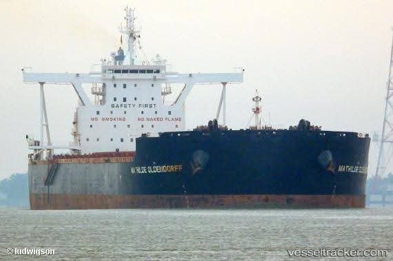 ميناء شرق بورسعيد يستقبل ثالث أكبر سفينة صب جاف منذ بدء نشاط التداول 1