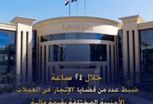 وزارة الداخلية..ضبط عدد من قضايا"الإتجار" فى العملات الأجنبية بقيمة 5مليون جنيه 19