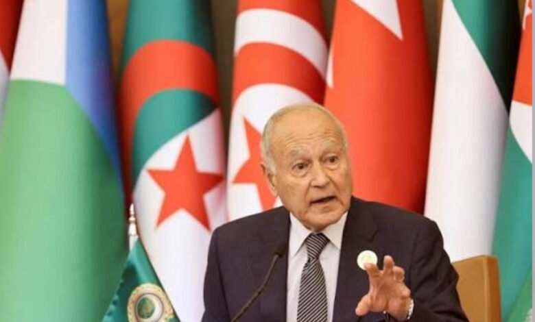 أبو الغيط يرحب بتشكيل حكومة يمنية جديدة 1