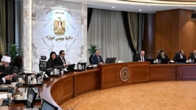 مجلس الوزراء..اجتماع اللجنة العليا للتعداد العام للسكان والإسكان والمنشآت لعام 2027 19