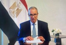 وزارة الخارجية تتابع احتياجات وشئون المصريين بالخارج 18