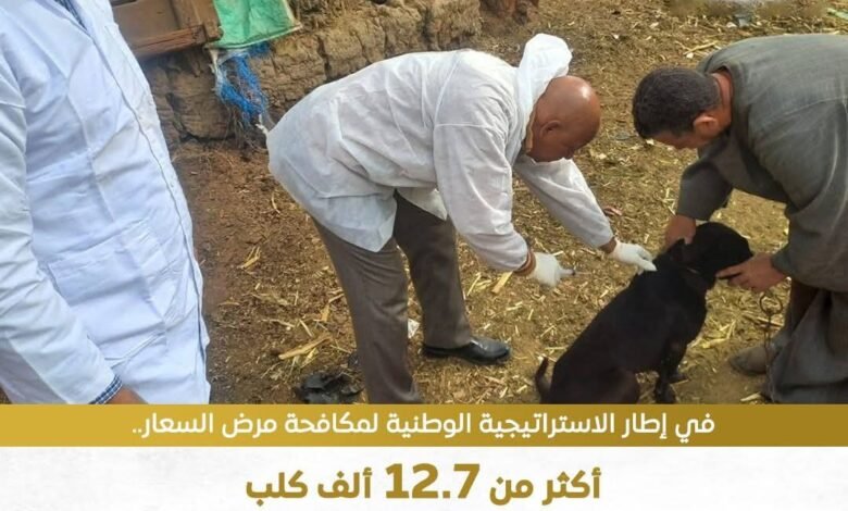 وزارة الزراعة.. تحصين 12,665 كلب ضد مرض السعار 1