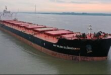 ميناء شرق بورسعيد تستقبل ثالث أكبر سفينة صب جاف 14
