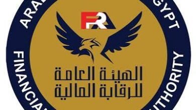 الرقابة المالية تصدر قواعد وإجراءات إنشاء الأجهزة المعاونة لقطاع التأمين 3