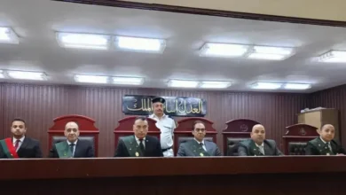 ابتزاز فتاة عبر مواقع التواصل ينتهي بالسجن المشدد 15 عاماً لعاطل بالقليوبية 10