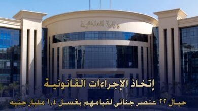 1.4 مليار جنيه.. ضبط 22 عنصراً إجرامياً بتهمة غسل الأموال والمخدرات 5