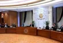 مدبولي يترأس اجتماع الحكومة ويؤكد: مصر تتابع تداعيات الأحداث الإقليمية بدقة 12