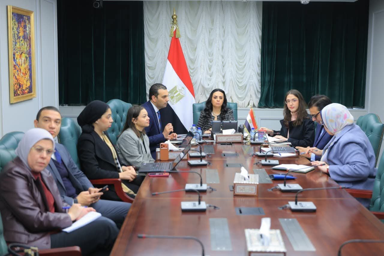 مصر تقود التحرك العربي لدعم فلسطين ولبنان في أزمة الإنسانية الطارئة 1